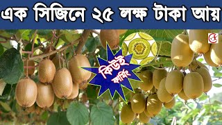 কিউই ফার্মিং করে এক সিজনে ২৫ লক্ষ টাকা আয় করুন | Kiwi Farming West Bengal