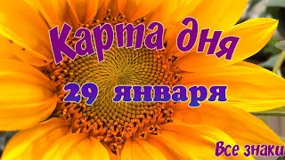 Карта дня🌞29 января❄ Пасьянс. Тайм-код в описании🦢