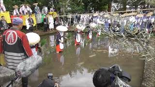 2022 7 12　会津美里町　伊佐須美神社御田植祭　御田神社　田植式