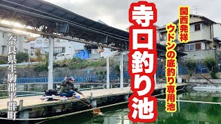 うどんの底釣り専用池 寺口釣り池 へらぶな釣り 奈良県生駒郡平群町