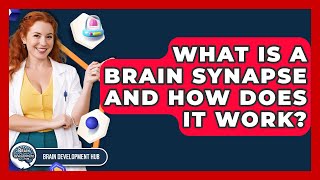 What Is A Brain Synapse And How Does It Work? - Brain Development Hub