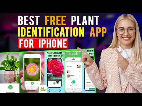 Best Free Plant Identification Apps for iPhone/iOS/ (Which is the Best Plant Identification App?)