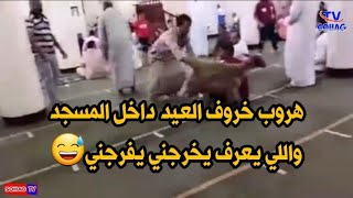 هروب خروف العيد للإختباء داخل المسجد  \