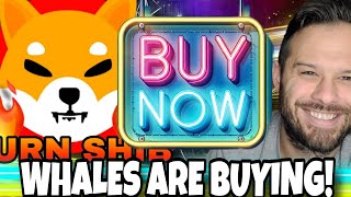 Shiba Inu Coin | Whales Are Loading Up On SHIB! Should We Be Buying?!