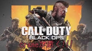 ＃21 【FPS】craneの練習「COD:BO4-MULTIPLAYER-」夜練