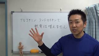 グルコサミン・コンドロイチンで軟骨は増えません｜愛知県江南市の慢性痛専門整体院‐爽快館