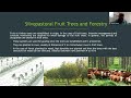 silvopastoral systems how to best integrate trees forage and animals into a complementary system