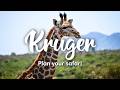 KRUGER NATIONAL PARK, SOUTH AFRICA | How To Plan A Self-Drive Safari In Kruger National Park