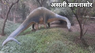 kanpur zoo !! kanpur chidiyaghar