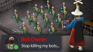 I Crashed an Unkillable Bot Farm in the Wilderness