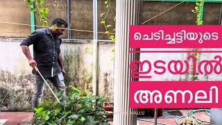 അണലി ചെടിചട്ടിയ്ക്ക് ഇടയിൽ കടിക്കാൻ ഒളിച്ചിരിക്കും | A viper snake hiding among the potted plants