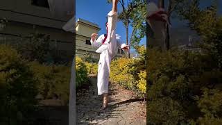 Taekwondo Rising Of Kick #shorts #fyp #taekwondo #martialarts