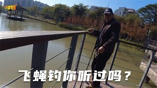 飞蝇钓，杆杆无虚发，又见识了一种神奇的钓鱼方式。