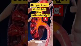 ఇ తప్పు మీరు చేయకండి #facts #telugu facts #youtubeshorts  #amazingfacts yt