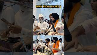 Waheguru Moments | Hum Bisam Bhaee | Soulful Gurbani Kirtan #shorts #gurbanikirtan