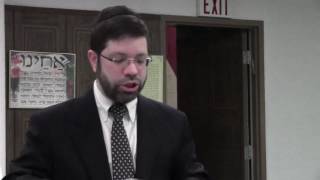 Rabbi Milevsky on Parshas Shmos - 5777