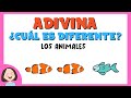 Adivina ¿cuál es el diferente?: Los animales