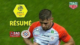 EA Guingamp - Montpellier Hérault SC ( 1-1 ) - Résumé - (EAG - MHSC) / 2018-19