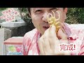 昭和レトロガチャ発見旅～宮城蔵王編no.21725