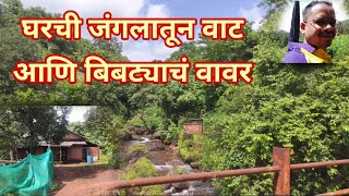 घरची जंगलातून वाट आणि संद्याकाळी बिबट्याचा वावर | #video #viral #kokan #kokani