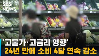 '고물가 · 고금리 영향'…24년 만에 소비 넉 달 연속 감소 / SBS