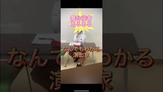 【舞台役者あるある】なんでもわかる演出家