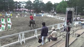 2015.8.31　第51回北日本学生馬術大会　小障害飛越競技A　高橋駿人・ライトーラ号