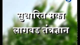 कृषीदर्शनमध्ये सुधारित मका लागवड तंत्रज्ञान हा विशेष कार्यक्रम ०१ ऑक्टोबर २०१८