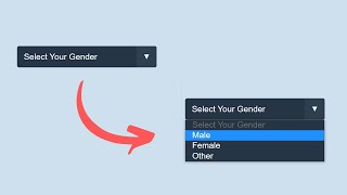 Awesome Selection Box Using Only HTML + CSS