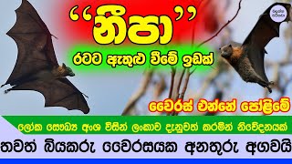 දෙවියනේ තවත් එකක් ලංකාවට ඇතුළු වීමට ඉඩක් ඇති බව කියයි - True story about Nipah