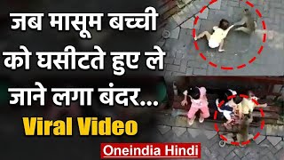 Viral Video: Bike पर दनदनाता हुआ आया बंदर और बच्ची को पकड़ा और ले गया घसीटते हुए | वनइंडिया हिंदी