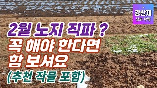 [텃밭] 2월 노지직파 하지 마셔요. 꼭 해야 한다면 함 보셔요