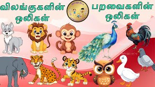 Learn Birds and Animals Sound in Tamil for Children | விலங்குகள், பறவைகளின் ஒலிகள்|@AmbuluKutty