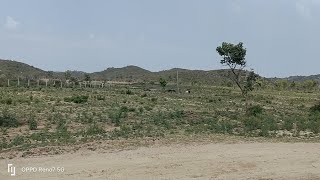 52 Killa Banjar Land with wide front for sale in Punjab Gharshankar Hoshiarpur Punjab 9316167007