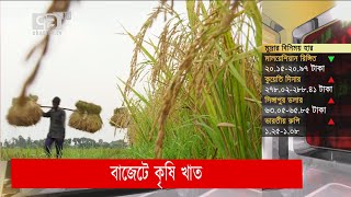 বাজেটে কৃষি খাত  | News | Orthojog | Ekattor TV