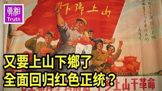 又要上山下鄉了！全面回归红色正统？