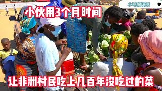 没想到卷心菜在非洲如此火爆，村民爬上车哄抢，我都想去非洲卖菜