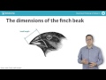 Python Tutorial: Statistical Thinking in Python II (Part 5)