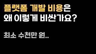 플랫폼 개발 비용은 왜 수천만 원이나 할까? 직접 개발자를 채용해서 개발한다면?