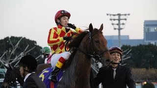 ゼッタイリョウイキ　瀧川寿希也　騎手　虹の橋を渡った競争馬