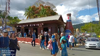 RUTA PANORÁMICA MAYAGÜEZ HASTA MARICAO.