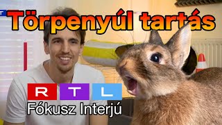 Törpenyúl tanítás - Nyuszi trükkök - RTL FÓKUSZ INTERJÚ (A Nyulas Srác)