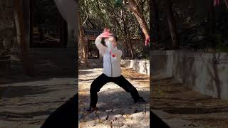 太极拳发力，刚柔并济，一动无有不动 #taichi #taichiquan #kungfu #wushu #martialarts #taiji #taijiquan #太极 #太極拳 #功夫 #武術