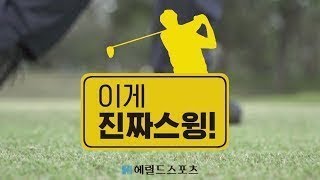 [이게 진짜 스윙!] PGA 신인상 임성재의 드라이버 샷