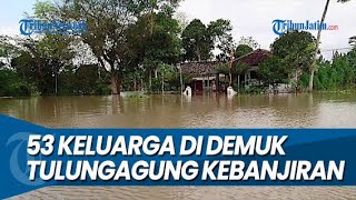 20 RUMAH TERISOLASI TOTAL, Banjir Landa Desa Demuk Tulungagung