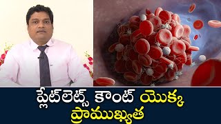 Importance of Platelets Count  | ప్లేట్‌లెట్స్ కౌంట్ యొక్క ప్రాముఖ్యత  | Samayam Telugu