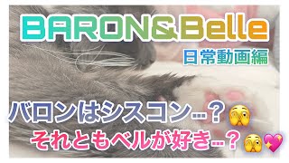 BaronとBelleの関係性が明らかに…！？🫣