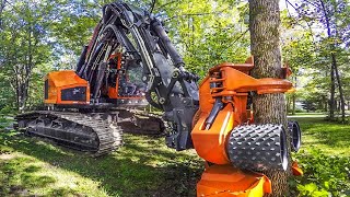Powerful Big Tree Harvester Working, Amazing Giant Excavator Cutting Tree, Fast Tree Removal Machine