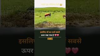 इसलीये  माँ  का दरजा सबसे ऊपर रखा गया है 😭