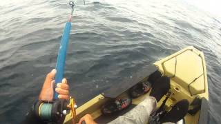 7/5/15 Kayak fishing Yellow Tail in La Jolla \